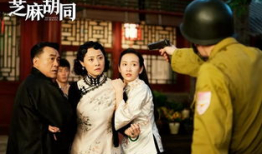 电视剧芝麻胡同,胡同里的岁月流转与人生百态